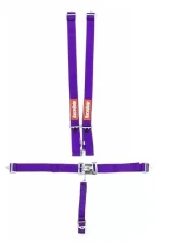RaceQuip 5 Point Harness Latch and Link SFI-16.1 Pull Down Adjust - Bolt-On/Wrap Around                                     - 711051 - Image 2