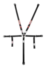 RaceQuip 5-Point Jr. Dragster/Quarter Midget Youth Camlock Set - Black                                     - 739009 - Image 2