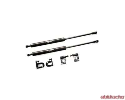 GReddy Carbon Hood Damper Kit Mitsubishi Evo X 2008-2015 - 18530101