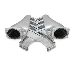Sniper EFI Fabricated Intake Manifold Dual Plenum 102mm GM LS1/2/6, and Fuel Rail Kit - Silver