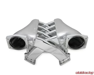 Sniper EFI Fabricated Intake Manifold Dual Plenum 102mm GM LS1/2/6, and Fuel Rail Kit - Silver - 820241