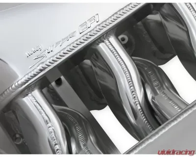 Sniper EFI Fabricated Intake Manifold Dual Plenum 102mm GM LS1/2/6, and Fuel Rail Kit - Silver - 820241