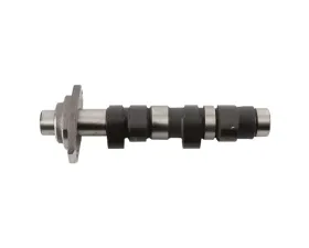 Hot Cams Stage 1 Camshaft Single Cam Honda TRX 400 EX | TRX 400 X | XR 400 R
