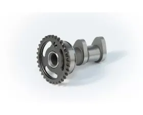 Hot Cams Stage 2 Camshaft Intake Kawasaki KX 250 F | Suzuki RM-Z 250