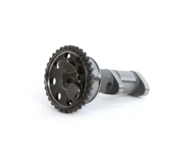 Hot Cams Stage 2 Camshaft Exhaust Yamaha YFZ 450 R 2009-2020