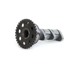 Hot Cams Stage 3 Camshaft Intake Yamaha YFZ 450 R 2009-2020