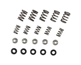 Hot Cams Valve Spring Kit Yamaha YFM 660 R Raptor 2001-2005