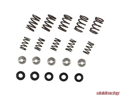 Hot Cams Valve Spring Kit Yamaha YFM 660 R Raptor 2001-2005 - SKYFM660S2