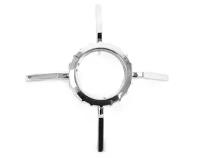 ACP Taillight Bezel Driver or Passenger Side FC-BT036