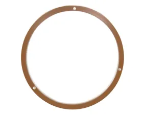 ACP Headlight Door Driver or Passenger Side Painted FM-BH008