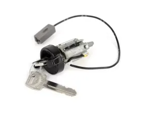 ACP Ignition Lock Cylinder With Keys FM-EI005