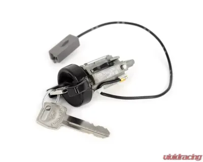 ACP Ignition Lock Cylinder With Keys FM-EI005 - FM-EI005