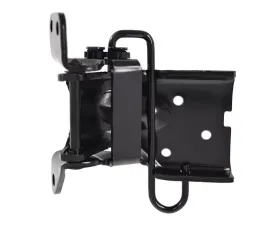 ACP Lower Door Hinge Driver Side FM-BD002
