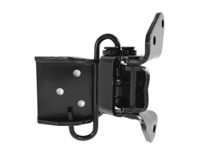 ACP Lower Door Hinge Passenger Side FM-BD005