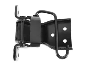 ACP Lower Door Hinge Driver Side FM-BD008