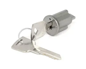 ACP Ignition Lock Cylinder With Keys FM-EI004