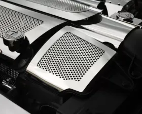 American Car Craft 2Pc Polished Stainless Steel Perforated Air Capacitor Cover Chevrolet Corvette C6 | Grand Sport 2008-2013