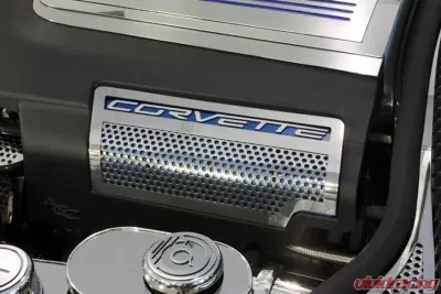 American Car Craft 2Pc Perforated Stainless Engine Shroud Side Inserts Chevrolet Corvette ZR1 2009-2013 - ACC-043071