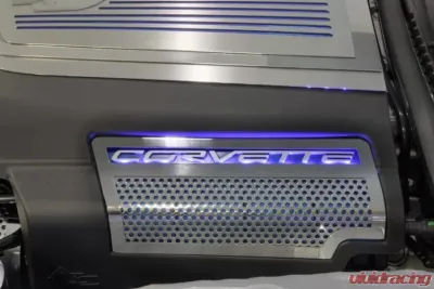 American Car Craft 2Pc Perforated Stainless LED Red Illuminated Engine Shroud Side Inserts Chevrolet Corvette ZR1 2009-2013 - ACC-043072-RDL