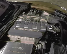 American Car Craft 2Pc Stainless White Factory Overlays Illuminated Fuel Rail Covers Chevrolet Corvette Stingray C7 2014-2019