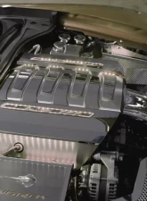 American Car Craft 2Pc Stainless White Factory Overlays Illuminated Fuel Rail Covers Chevrolet Corvette Stingray C7 2014-2019                                     - ACC-053044-WHTL - Image 2