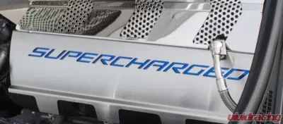 American Car Craft 2Pc Stainless Steel Supercharged Purple Carbon Fiber Fuel Rail Covers Chevrolet Corvette Z06 C7 2015-2019 - ACC-053088-PUR