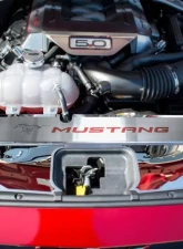 American Car Craft Green Carbon Fiber Brushed Mustang Radiator Cover Vanity Plate Ford Mustang GT 2015-2017                                     - ACC-273070-GRN - Image 2