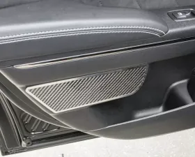 American Car Craft Carbon Fiber/Stainless Steel Carbon Fiber Rear Door Badges Dodge Charger 2011-2018