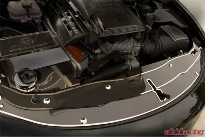 American Car Craft 2 Pc Polished Stainless Carbon Fiber Front Header Plate Kit Dodge Charger 2015-2020 - ACC-333031