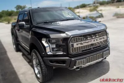 American Car Craft 2Pc Brushed Premium Stainless Steel Hood Accents Ford Raptor 2017-2020 - ACC-772076
