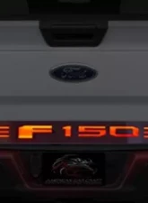 American Car Craft F-150 Lettering Stainless Steel Light Up Tailgate Rocker Panel Ford F-150 2015-2017                                     - ACC-772090 - Image 2