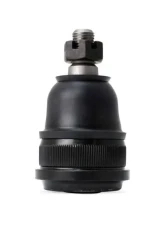 ProForged Lower Ball Joint GM A/F/X Body                                     - 101-10013 - Image 6
