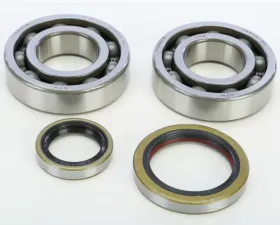 ProX Crankshaft Bearing and Seal Kit Beta 300 RR 2t 13-16