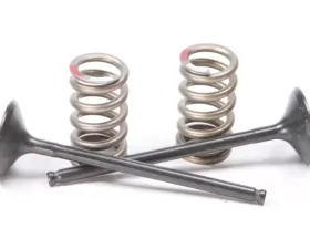 ProX Steel Exhaust Valve Kit