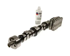 Melling Stock Replacement Camshaft Lifter Kit