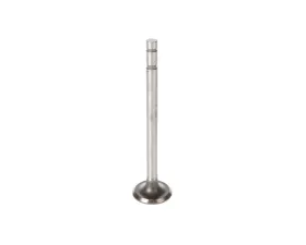 Melling Stock Replacement Exhaust Valve