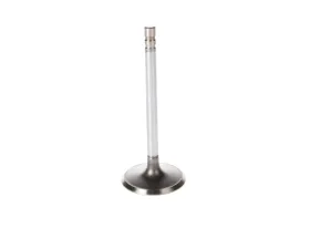 Melling Stock Replacement Intake Valve