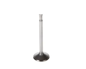 Melling Stock Replacement Intake Valve