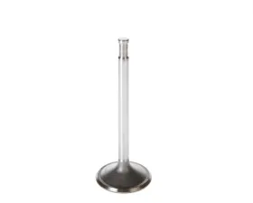 Melling Stock Replacement Intake Valve Buick