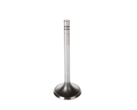 Melling Stock Replacement Intake Valve