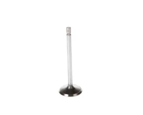 Melling Stock Replacement Intake Valve