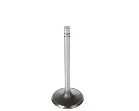 Melling Stock Replacement Intake Valve Dodge 7.2L V8