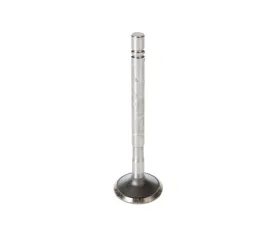 Melling Stock Replacement Exhaust Valve Dodge 5.2L V8