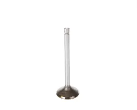Melling Stock Replacement Intake Valve