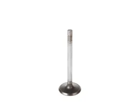 Melling Stock Replacement Intake Valve
