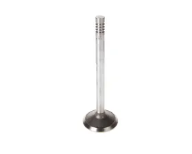 Melling Stock Replacement Exhaust Valve