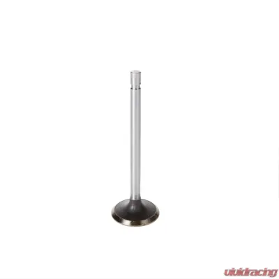 Melling Stock Replacement Intake Valve - V1416