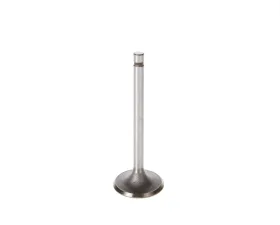 Melling Stock Replacement Intake Valve