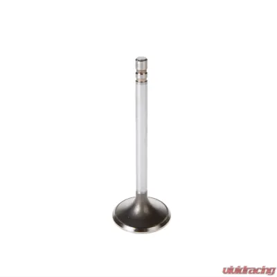 Melling Stock Replacement Intake Valve - V1484