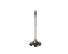 Melling Stock Replacement Intake Valve